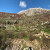 Grundstück in Dobra Voda, 2.593m2, mit spektakulärem und unverbaubarem Meerblick, in Montenegro.