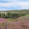 Sehr attraktives Angebot! Wunderschönes, ruhiges und friedliches Grundstück, 5.520 m2, in Darza, Gemeinde Ulcinj, perfekt für Selbstversorger, mit 200 Mandarinenbäumen und mehr Früchten. In Montenegro